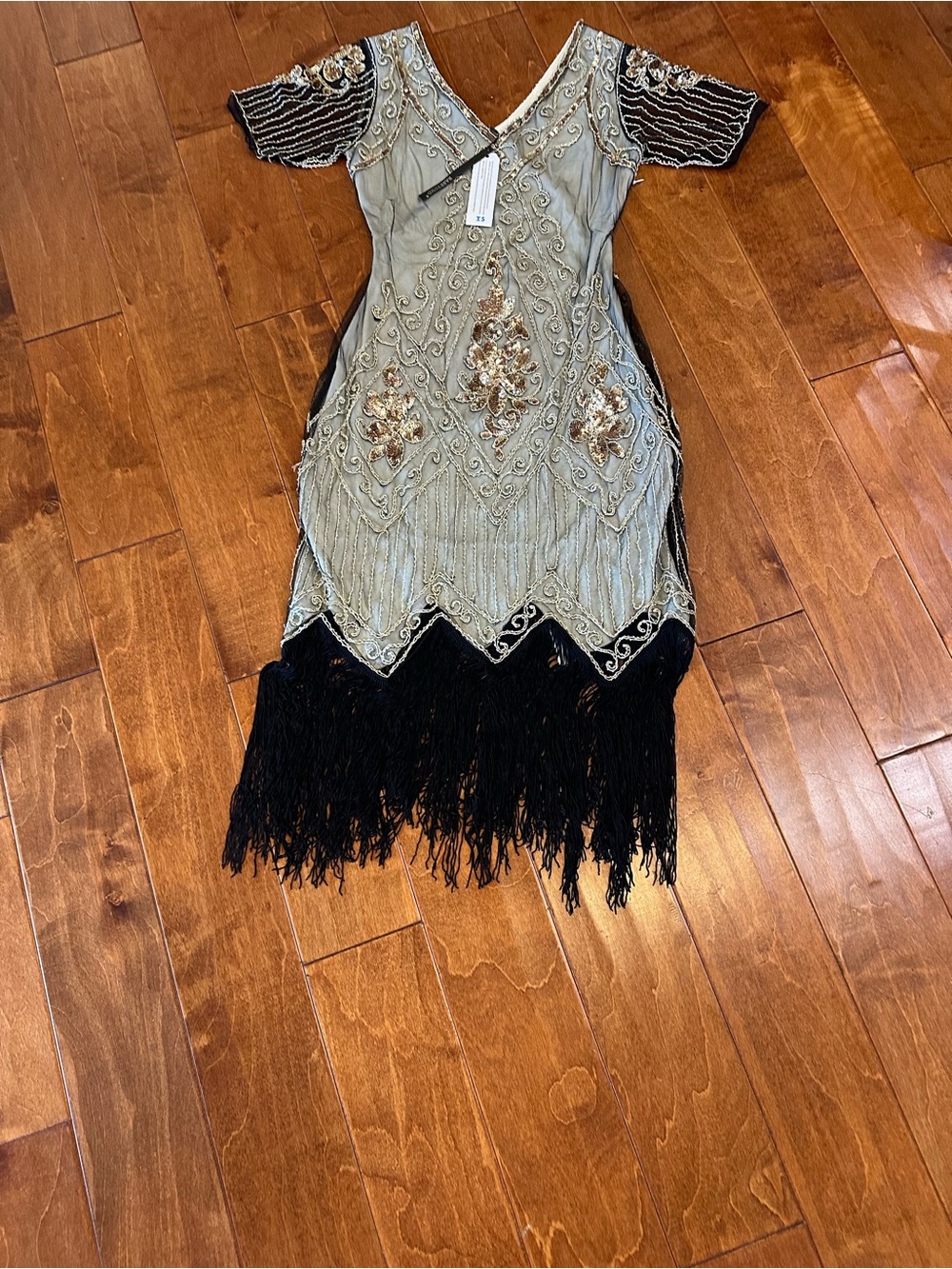 Embellished Fringe V-Neck Dress in Pale Gold and Black